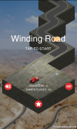Winding Road Race screenshot 1