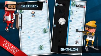 Flick Champions Winter Sports screenshot 0