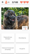 Породы собак – Фото-тест screenshot 1