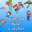 Vibrante Kite Catcher Icon