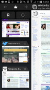 Desktop FullScreen Web Browser screenshot 4