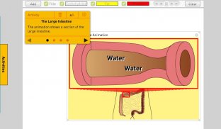 Digestion screenshot 3