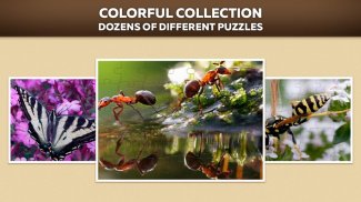 Insects Puzzles For Adults And Kids Free screenshot 1