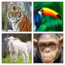 Animal Quiz Free