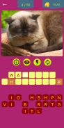 Cat & Dog Breeds Quiz screenshot 2