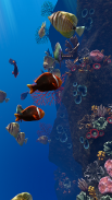 Ocean Aquarium screenshot 23