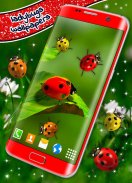 Cute Ladybug Live Wallpaper screenshot 5