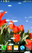 Tulips Live Wallpapers screenshot 3