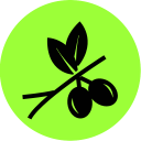 Olives yield Icon