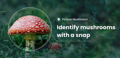 Picture Mushroom - Mushroom ID