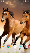 Horses Live Wallpaper HD screenshot 7