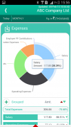 Tally Business Dashboard screenshot 8