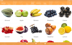 Seasonal fruits and vegetables screenshot 2
