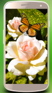 Roses live wallpaper. Beautiful roses for girls screenshot 1