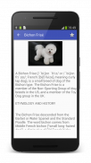 Dog Breeds Encyclopedia screenshot 2