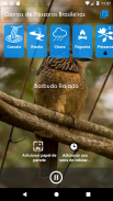 Cantos de Pássaros Brasileiros screenshot 4