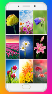 Flower Wallpaper HD screenshot 8