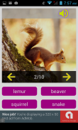 Animal sounds (Play & Quiz) screenshot 2