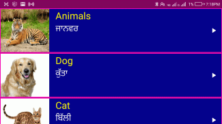 Learn English From Punjabi screenshot 3