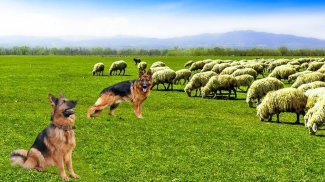 Shepherd Dog Simulator 3D-Offline Wild Animal Game screenshot 1