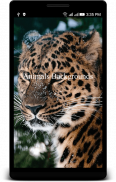 Animals Backgrounds screenshot 5