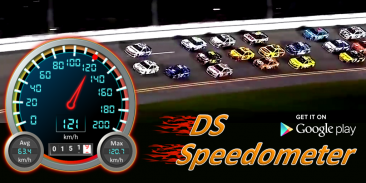 DS Speedometer & Odometer screenshot 6