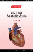 HEART - Digital Anatomy Atlas screenshot 16