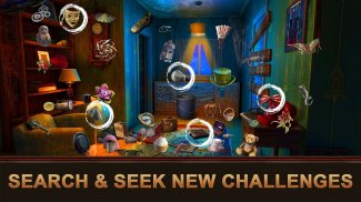 Hidden Objects : Living screenshot 0