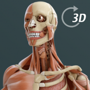 Visual Anatomy 3D | Human screenshot 2