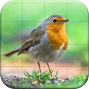 Sparrows Puzzle Icon