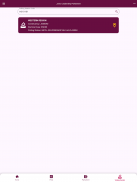 YLP screenshot 2