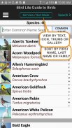 iBird Lite Free Guide to Birds screenshot 5