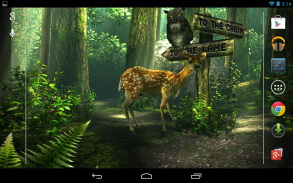 Forest HD screenshot 6