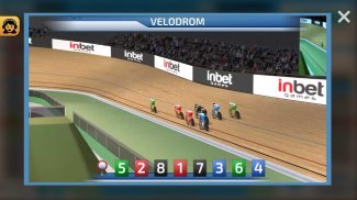 Velodrome 3D Races Betting screenshot 2