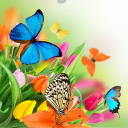 Butterfly Live Wallpaper