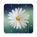 Flowers Watch Faces Icon