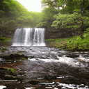 Jungle Waterfall Live Wallpaper Icon