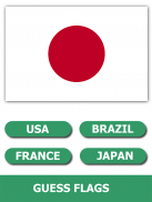 Flags Quiz Gallery : Quiz flags name and color screenshot 1