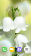 Lily of The Valley Wallpaper screenshot 8