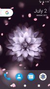 Flower Sprinkle HD Wallpapers screenshot 2