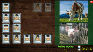 All Animals Pairs Memory Game screenshot 8