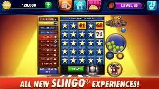 Slingo Arcade: Bingo Slots Game screenshot 4