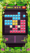 Block Puzzle Level screenshot 5