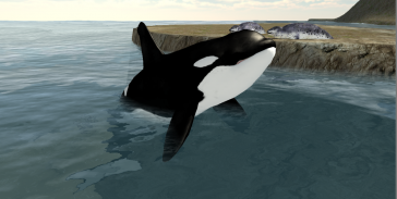 Orca Whale Simulator 3D screenshot 0