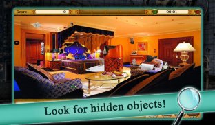 Blackstone: Hidden Objects screenshot 0