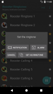 Appp.io - Rooster Sounds screenshot 2