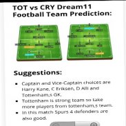 dream11 team&tips screenshot 3