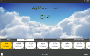 Quran TV screenshot 9