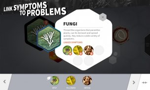 Plant Doctor Simulator screenshot 8