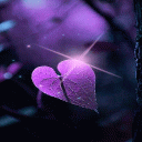 Magical Purple Leaf LWP Icon